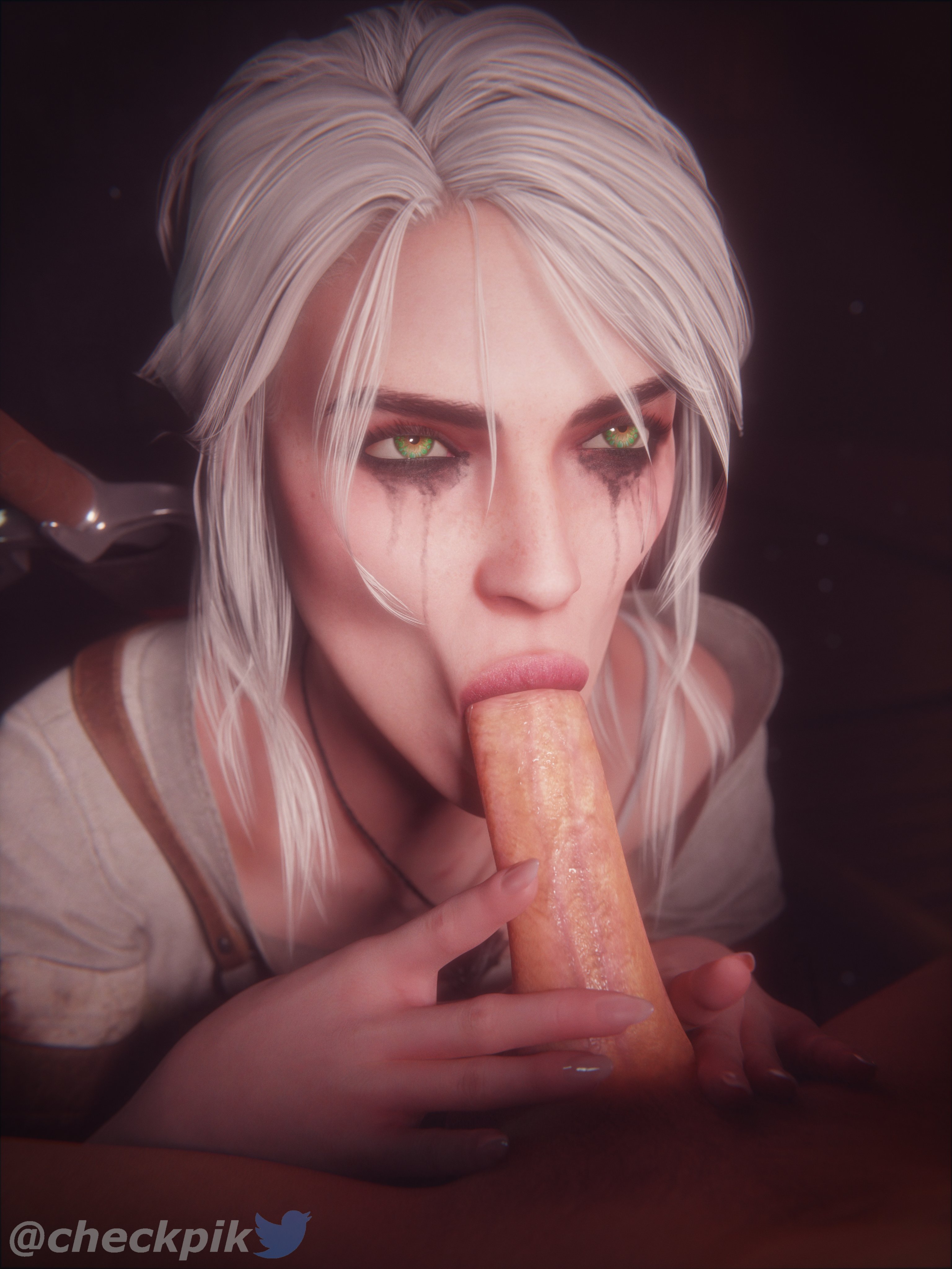Ciri giving a blowjob.